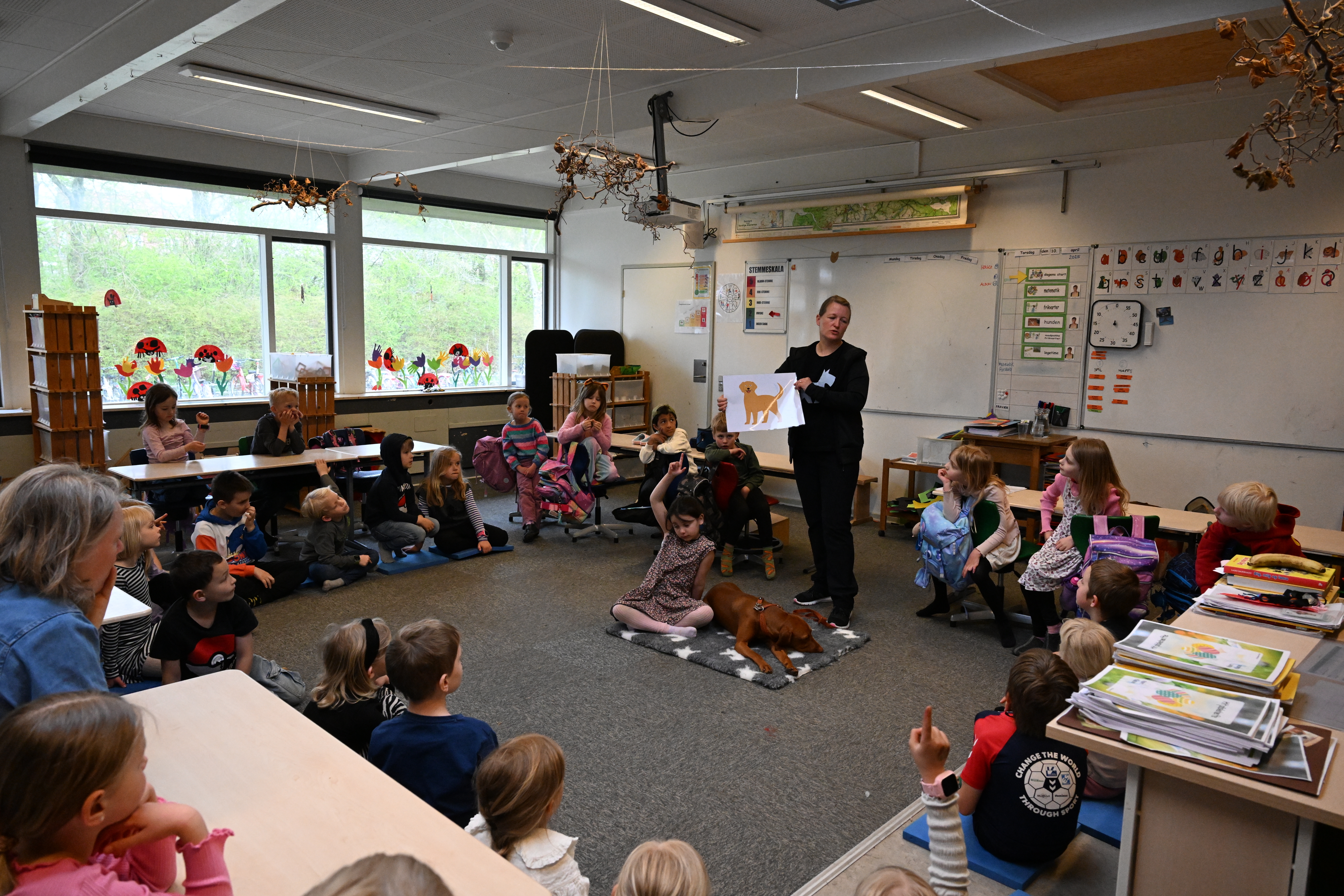 Ven med en hund undervisning