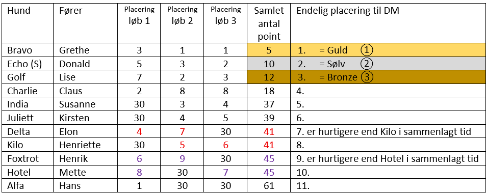 Eksempel på pointberegning DM hoopers